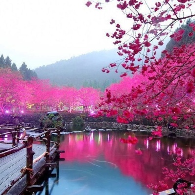 best surprise ideas for girlfriend